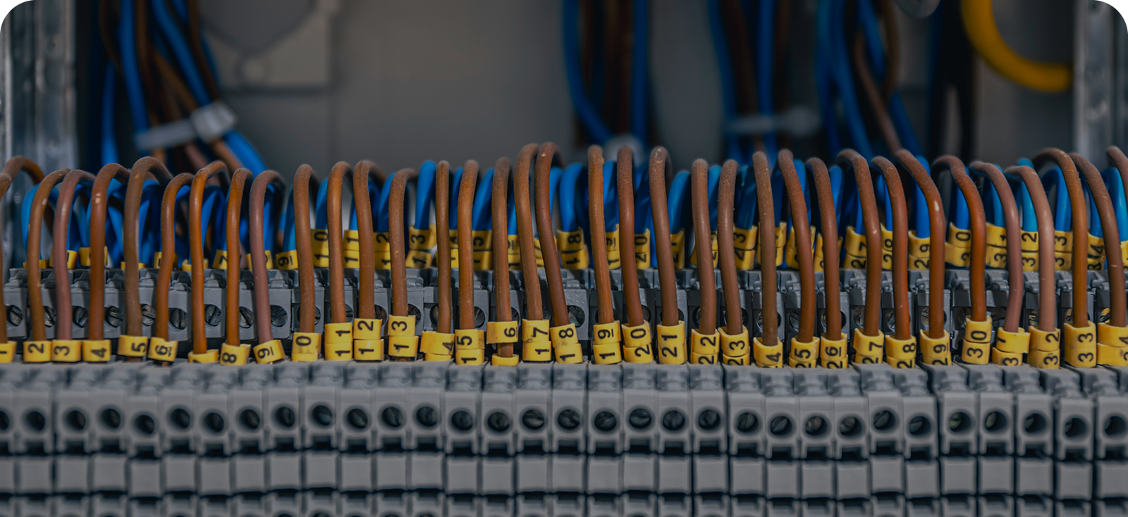 Patch Panels & Structured Cabling